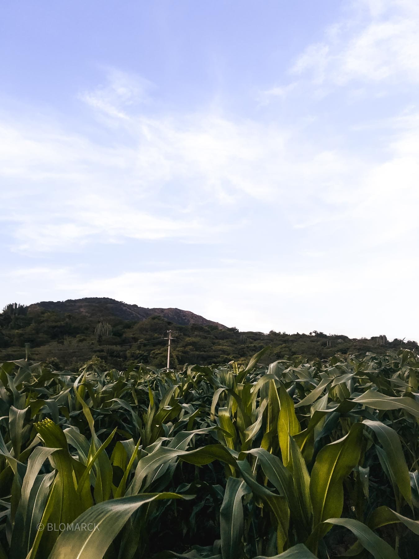 Imagen de Galería del Municipio 4