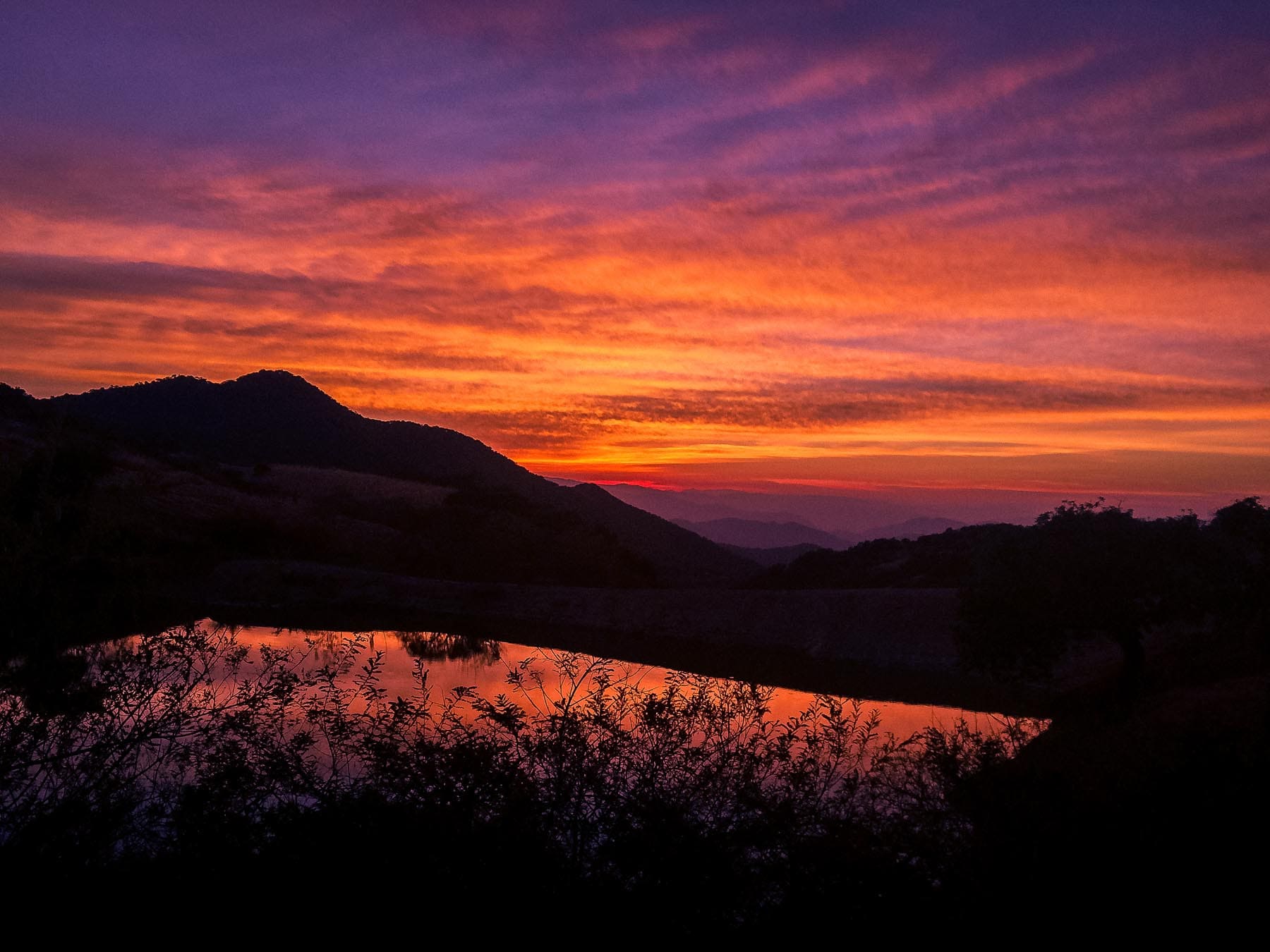 Imagen de Galería del Municipio 3