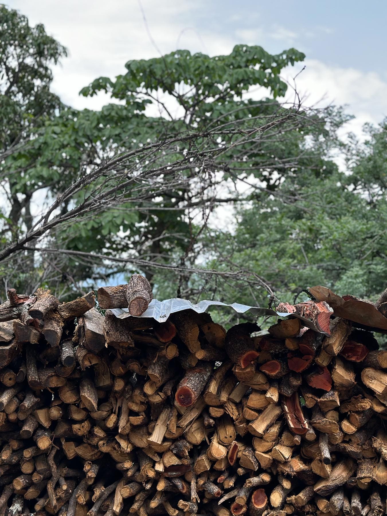 Imagen de Galería del Municipio 1