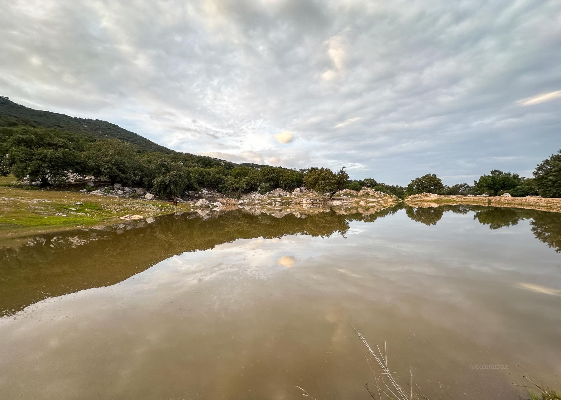 Imagen de Galería del Municipio 3