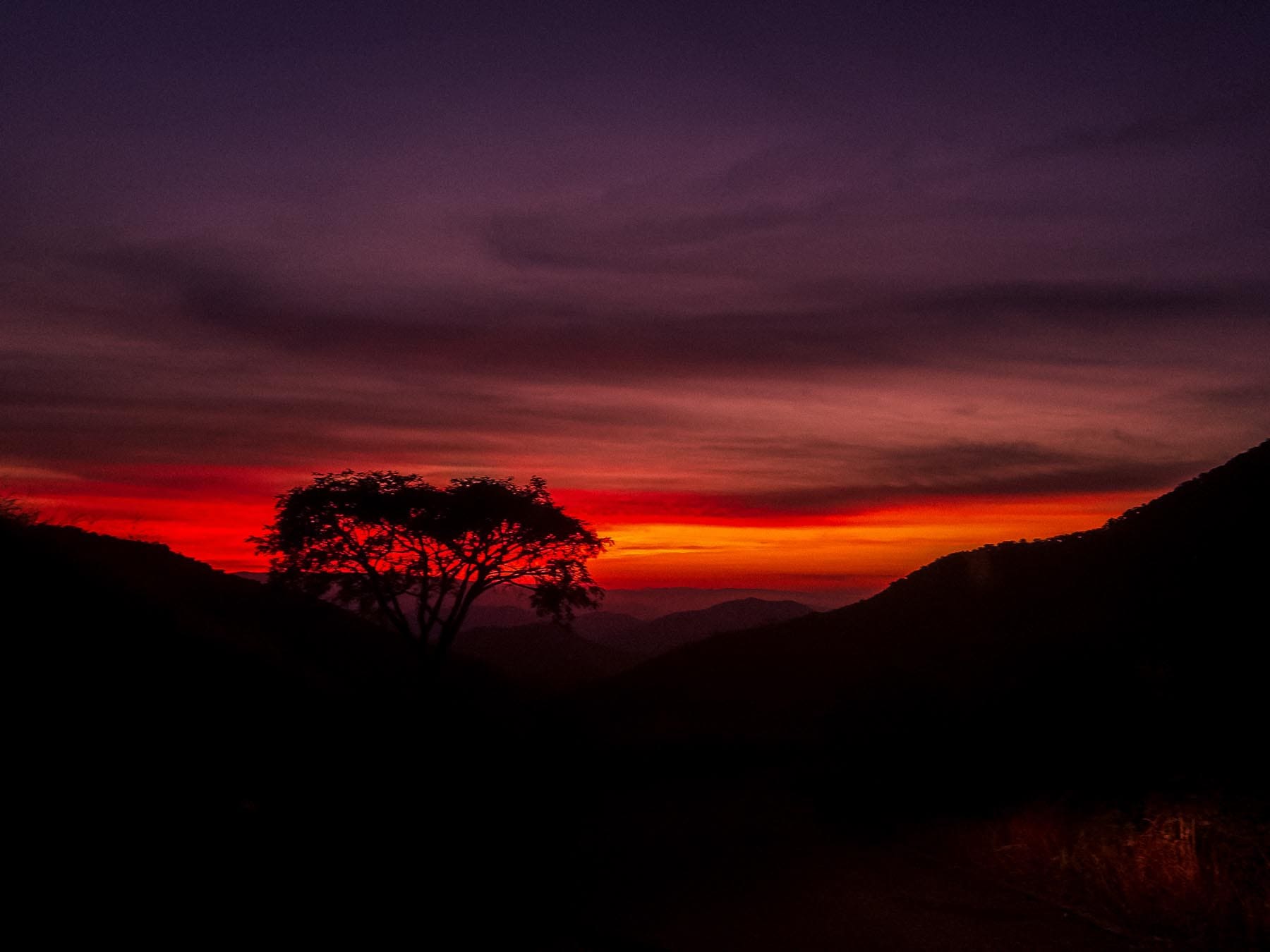 Imagen de Galería del Municipio 4