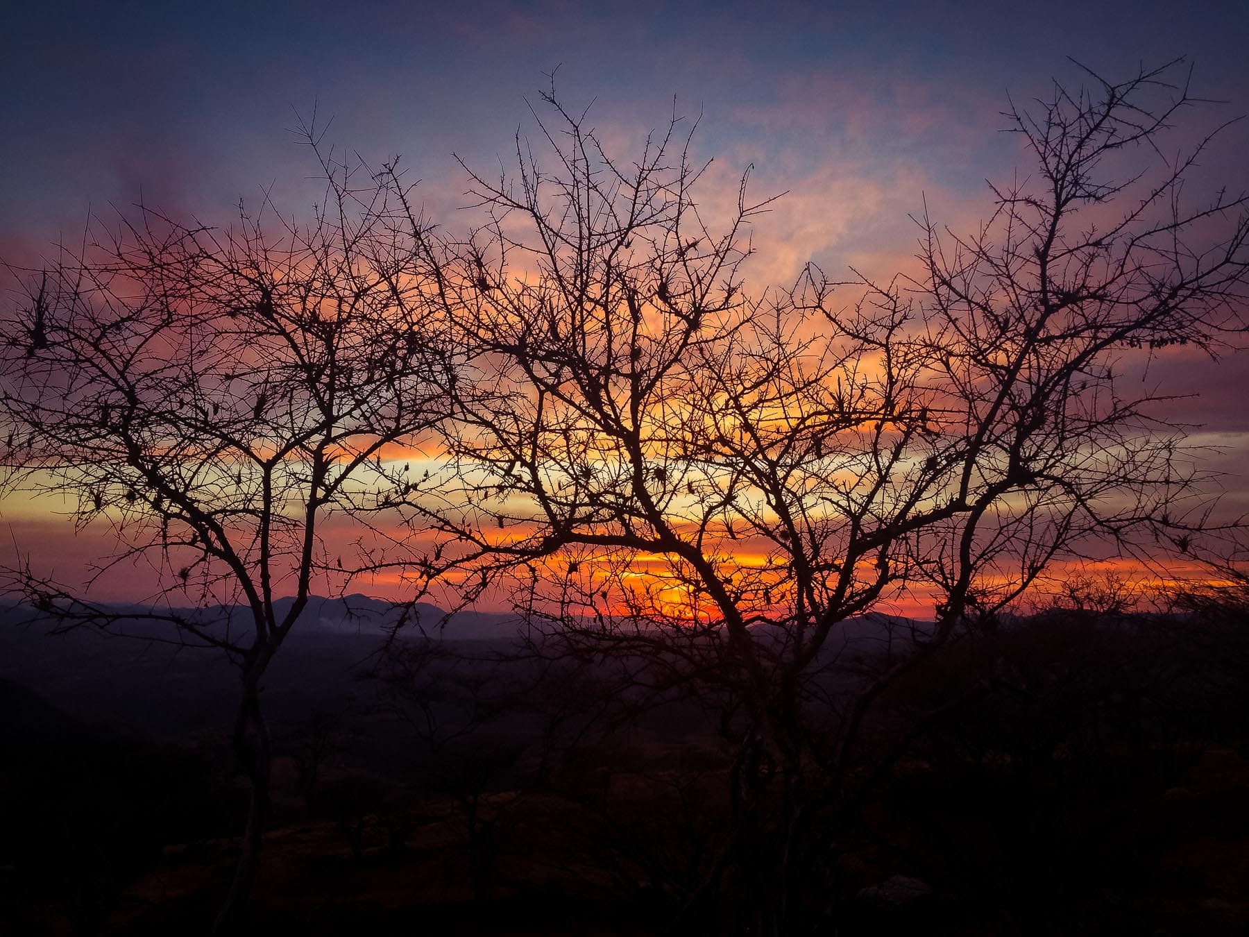 Imagen de Galería del Municipio 2